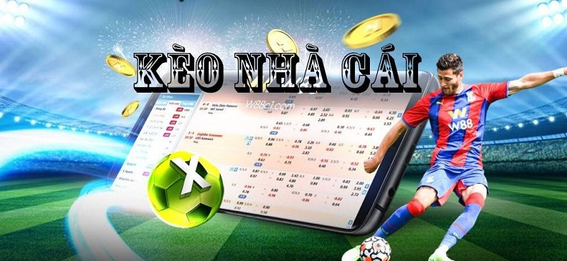Thông tin tỷ lệ kèo nhà cái tại 7Fun7 uy tín hôm nay